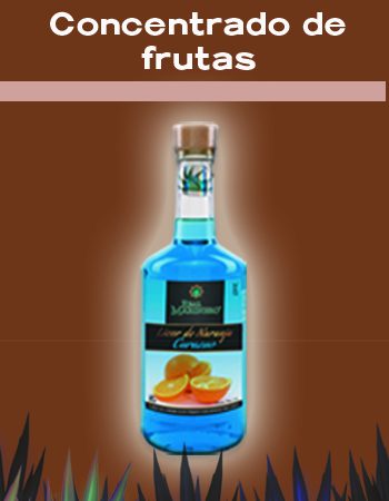 Concentrados de Frutas
